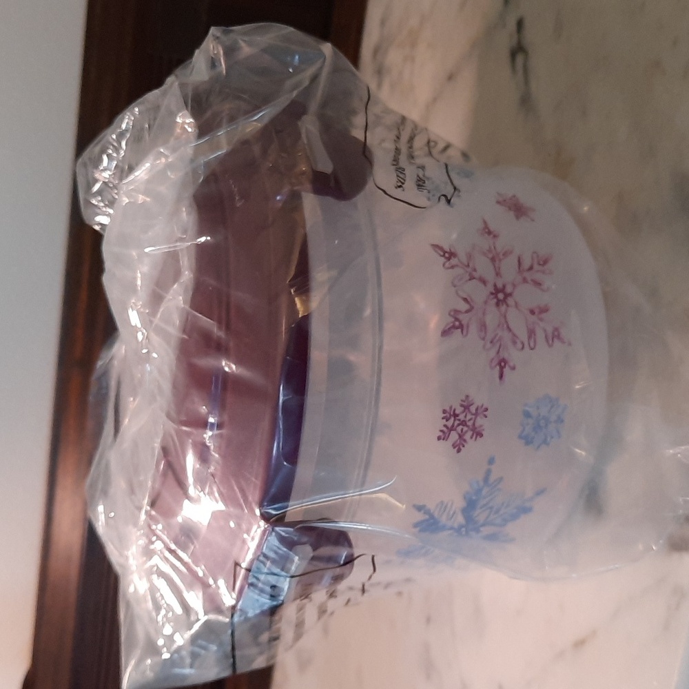 NWT.  Lock&Lock 41 oz Container with Handle SNOWFLAKE